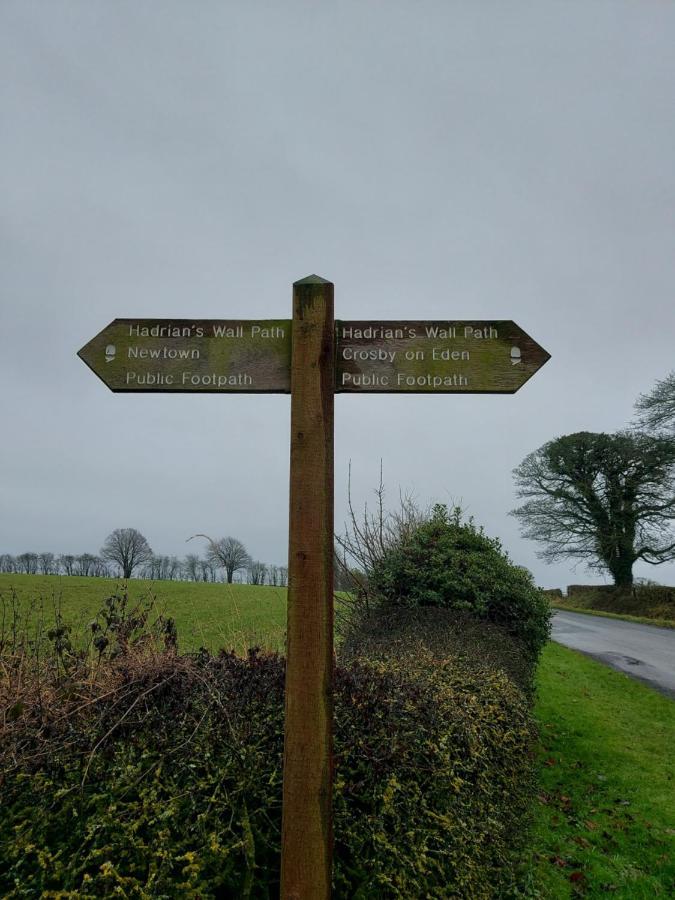 Hadrians Wall Studio 卡莱尔 外观 照片